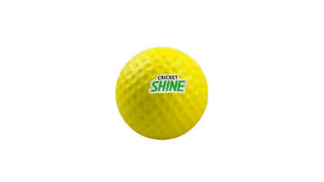 Picture of SHINE CRICKET BALL SOFT